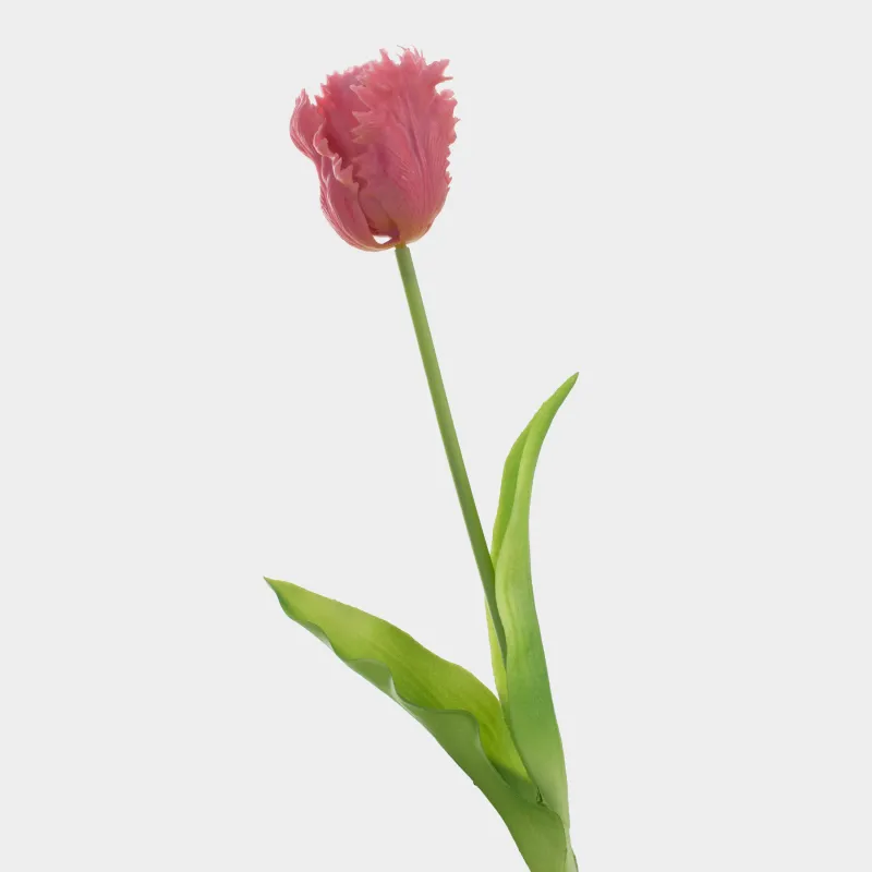 Цветок искусственный, 39 см, пластик/металл, Tulip garden, image-1