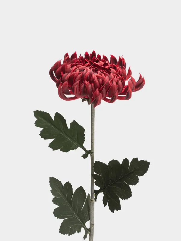Цветок искусственный, 73 см, Красная хризантема, Flower garden, image-1