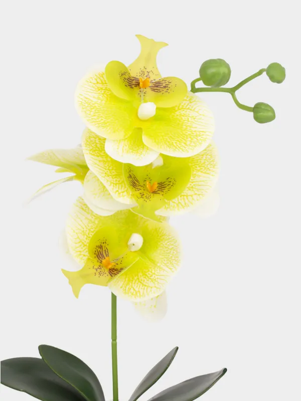 Растение искусственное, Orchid, image-2