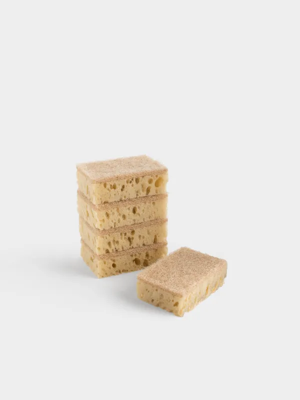 Губка для мытья посуды, 5 шт, антибактериальная, Beige clean, image-0