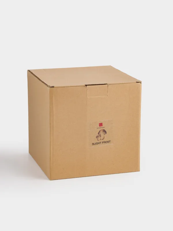 Емкость для хранения, 17х15 см, 1,2 л, керамика, молочно-серая, Гриб, Slight frost, image-6