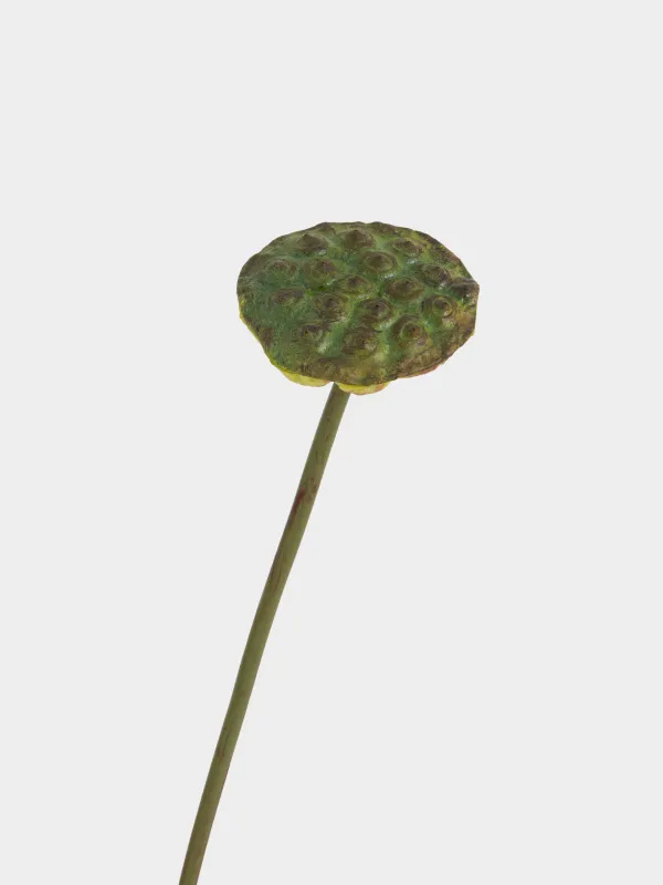 Цветок искусственный, 76 см, полиуретан, Лотос, Flower garden, image-2