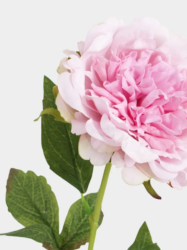 Цветок искусственный, Пион, Peony garden, image-2