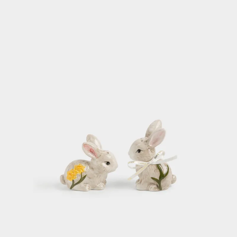 Набор для соли и перца, 10 см, керамика D, бежевый, Кролики с цветами, Rabbit in narcis
