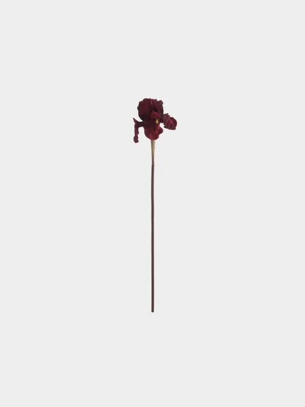 Цветок искусственный, 70 см, Бордовый ирис, Flower garden, image-0