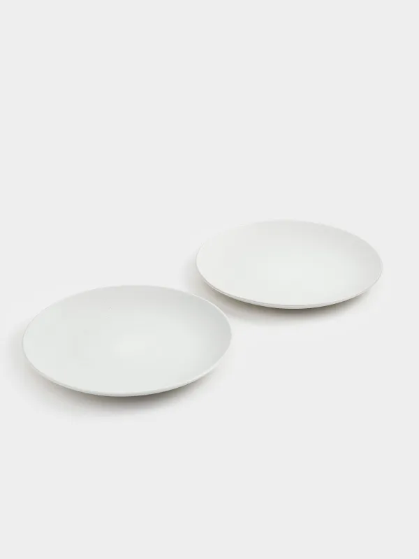 Тарелка обеденная, 27 см, 2 шт, керамика, молочная, в крапинку, Particle, image-2