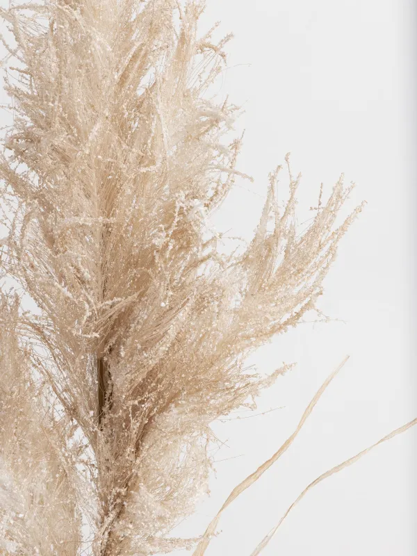 Ветка декоративная, 1 м, Пампасная трава, Meadow decor, image-3
