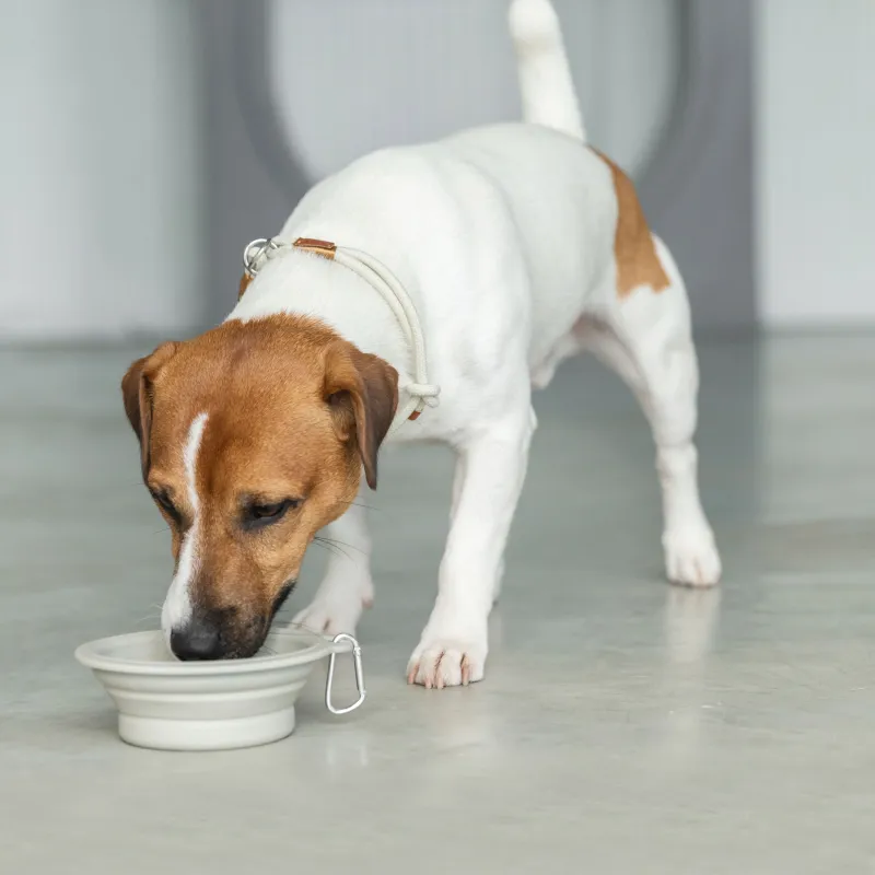 Миска для животных, 14х15 см, 420 мл, дорожная, складная, пластик/резина, серая, Fast pet, image-3