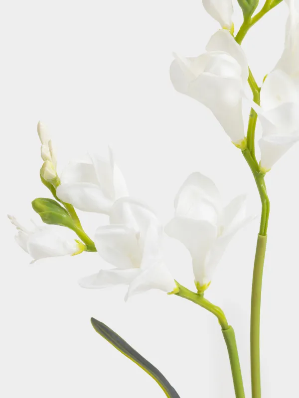 Ветка декоративная, 75 см, Белая фрезия, Flower garden, image-2