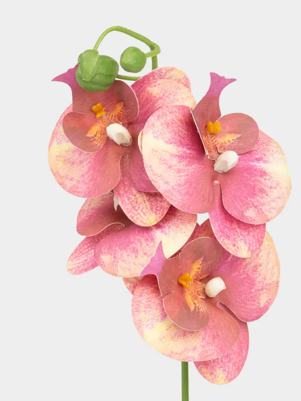 Растение искусственное, ТПЭ/керамика, Orchid, image-1