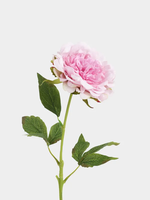Цветок искусственный, 56 см, полиэстер, Светло-розовый пион, Peony garden, image-1