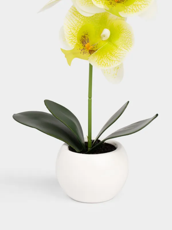 Растение искусственное, Orchid, image-1