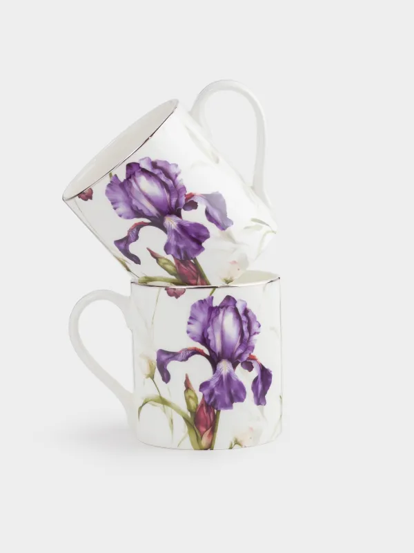 Кружка, 380 мл, 2 шт, фарфор F, белая, с серебристым кантом, Ирис, Antarctica Flowers, image-0