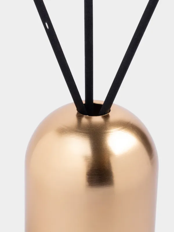Ароматический диффузор, 100 мл, Black Opium, Golden secret, image-1