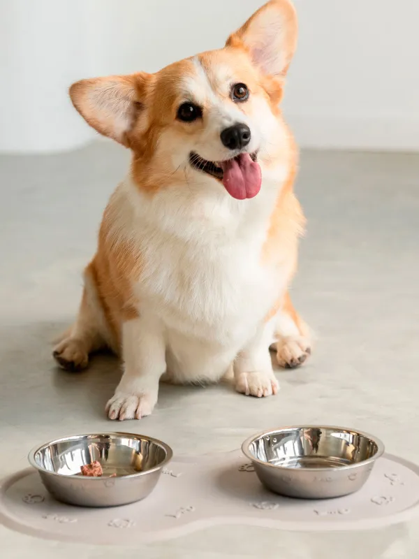 Коврик под миску для животных, Favorite pet, image-2